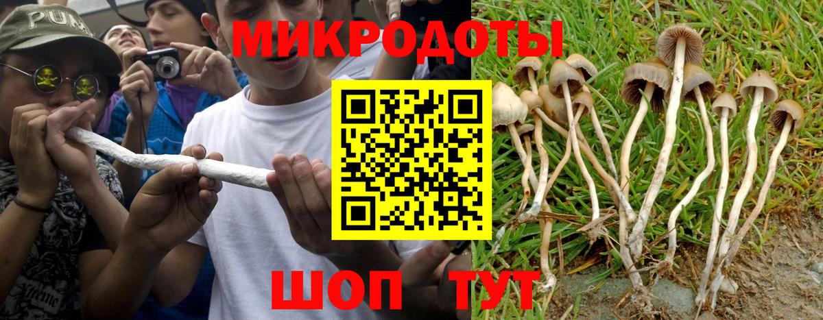 Домодедово  Галлюциногенные грибы мицелий  как найти закладки  Вход с VPN 
