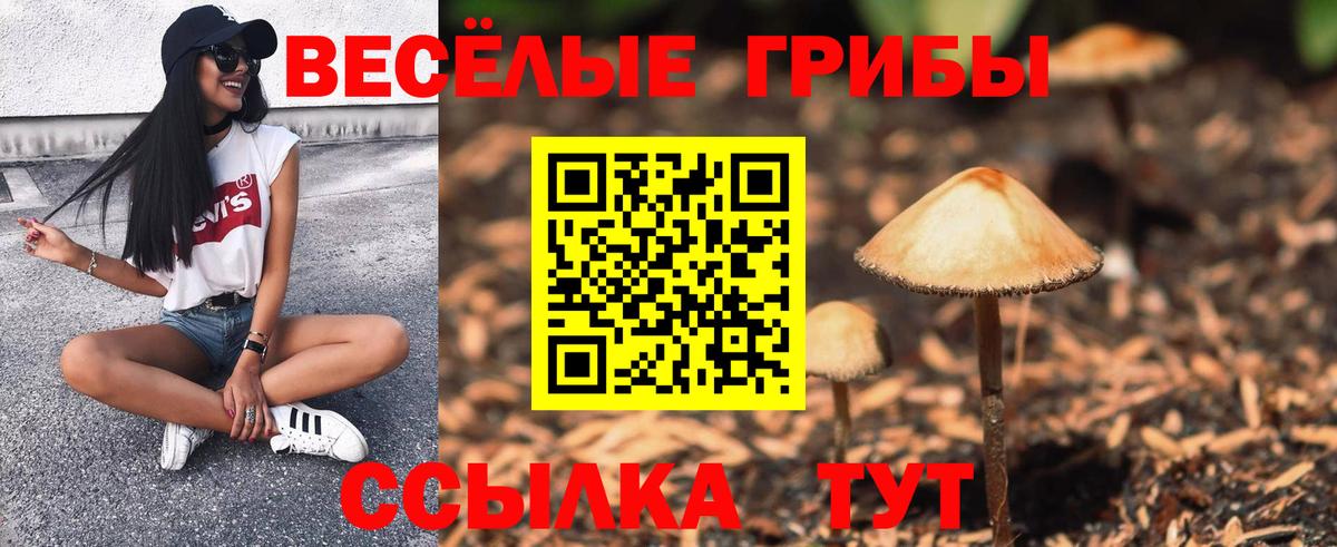 Галлюциногенные грибы ЛСД Домодедово